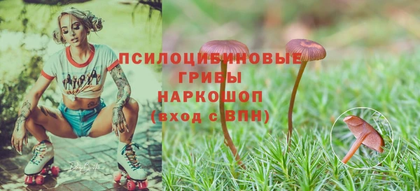 крисы Армянск