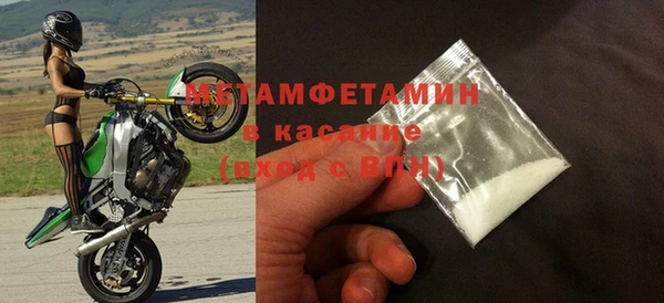 прущие грибы Балабаново