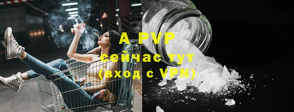 винт Аркадак