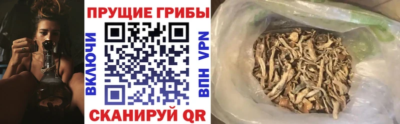 Псилоцибиновые грибы MAGIC MUSHROOMS  Жуковский 