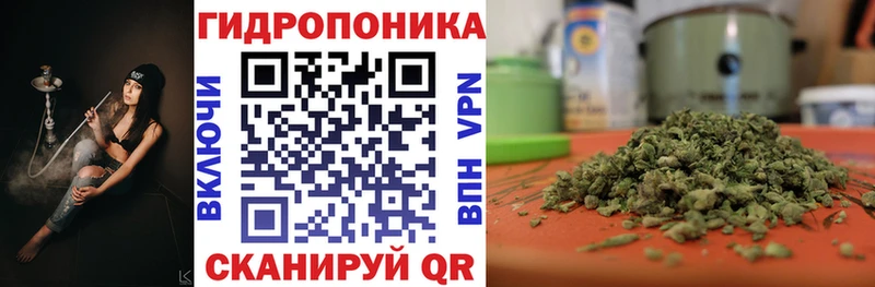 Шишки марихуана сатива  MEGA ССЫЛКА  Жуковский 